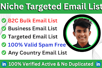 build niche targeted verified bulk email list and email blast
