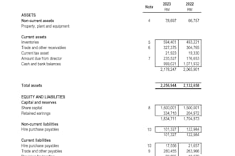 do financial model and valuation analysis