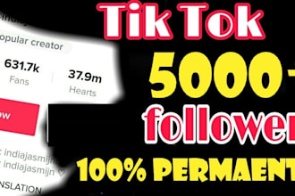 3000 non drop tiktok followers for instant