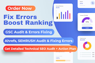 do detailed technical SEO audit, website audit to fix errors