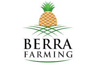 have make eco friendly, green, natural, organic, agriculture logo