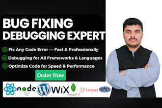 find and fix bugs, crashes, or issues in your web app professionally and fast
