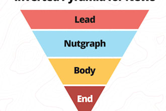 conduct online investigations and write detailed reports