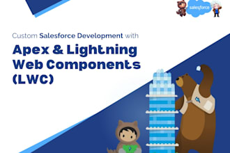 set up salesforce and develop custom apex and lwc components