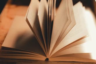 your honest beta reader