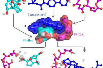assist you in peptides and protein protein docking