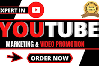do email marketing campaign to promote youtube video promotion