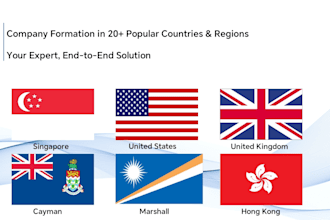 do singapore company registration