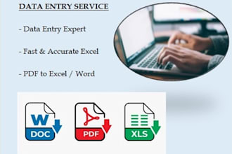 do excel data entry, PDF to word, and spreadsheet formatting