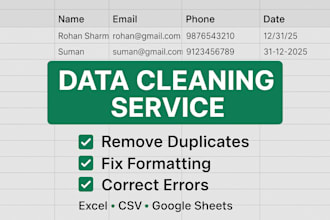 data clean,and data format  excel data