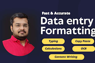 professional excel or word data entry or formatting