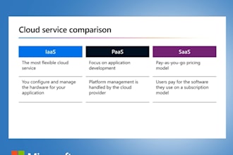 provide IT system and cloud network services