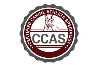 design artwork athlete trainer certification logo