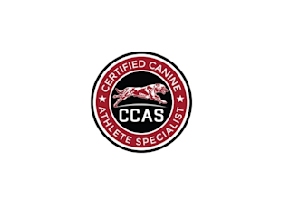 design traditional athlete trainer certification logo
