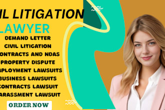 be your lawyer for civil litigation and case drafting