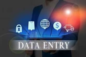 do any type of data entry with accuracy