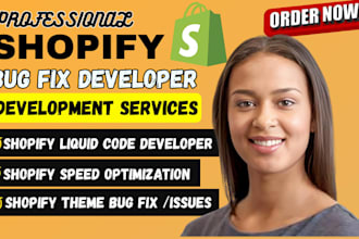 fix shopify speed, seo error, checkout errors, fix product page CSS, bug fixing