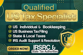prepare and minimize US tax filings, 1040, 1065, 1120, 5472