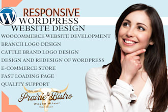 design a professional wordpress website or ecommerce store on bluehost