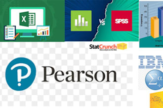 do statistical data analysis, spss data analysis, stata, projects, reports