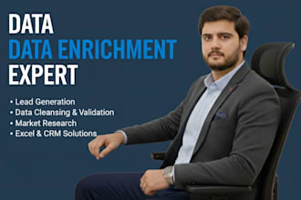 provide data enrichment service