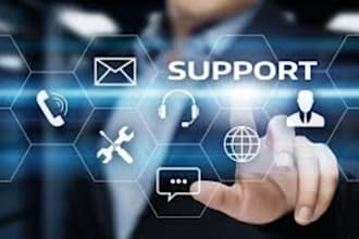 offer fast and secure IT support for networks and systems