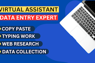 convert PDF to word, data entry, scan PDF to excel, ms word typing