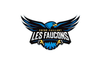 do super falcons logo for our elementary school sport teams