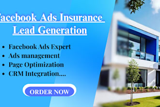 set up and manage your insurance facebook ads for leads generation