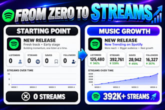 do professional spotify music promotion spotify album promotion spotify pitching