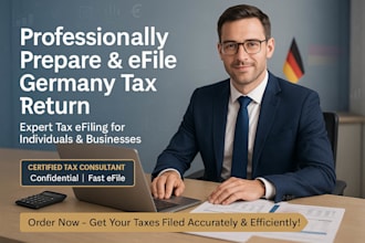 professionally prepare and efile germany tax return for individuals and business