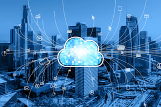 provide professional IT support