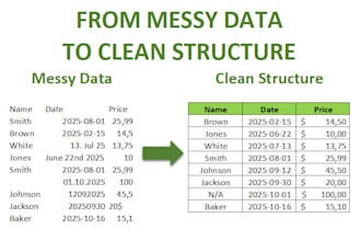 structure, clean, and organize your data in excel