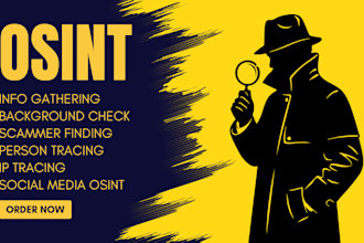 do professional osint and private investigation