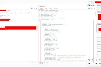 perform web app penetration testing owasp top 10