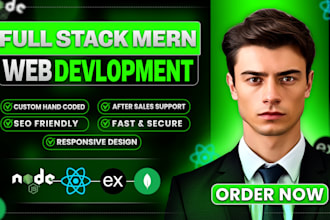 create your mern stack website
