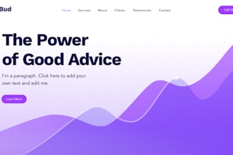create a proffesional wordpress website