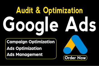 audit and optimize the google ads PPC campaigns for local business