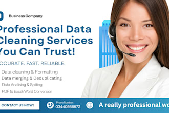 clean, format, split, marge excel data in just 4 hours