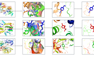 do molecular docking, structure based drug designing