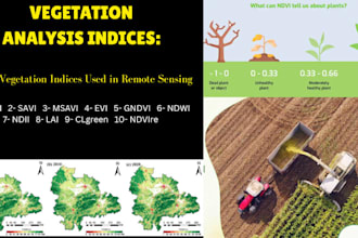 perform vegetation analysis and ndvi mapping using rs