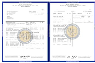 design college transcript, university, and high school transcripts