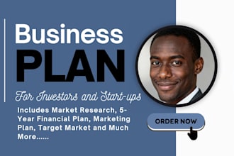 write investor ready business plan, business plan startup, business plan writer