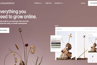 edit squarespace website design and build modern sqaurespace website development