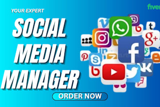 social media manager, social media audit, social media marketer