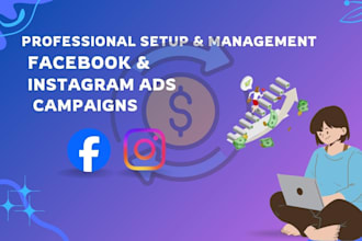 setup campaign in facebook ads and instagram ads