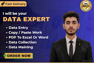 woo commerce data entry with on page SEO for wordpress and shopify