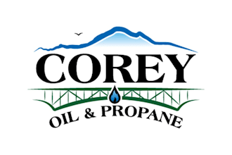 design a professional nature or eco company logo
