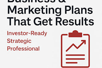 create a professional business and marketing plan