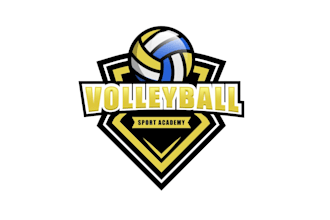create awesome and gorgeous volleyball logo design